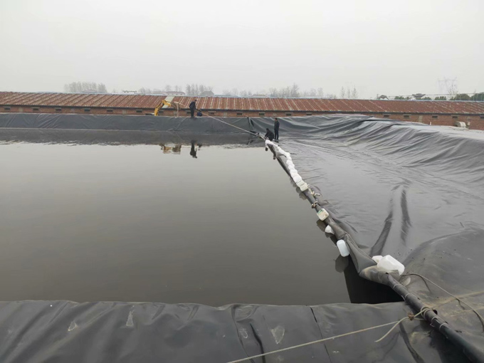 排水板在屋顶绿化工程中的优势分析
